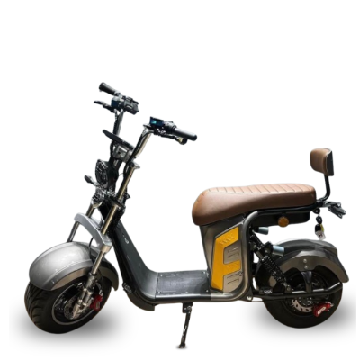 Scooter Elétrica R13 1000w