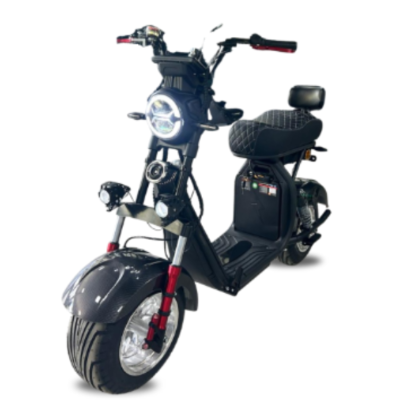 Scooter Elétrica WD3 -1000W