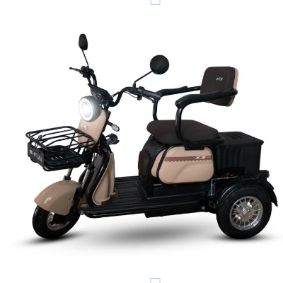 Triciclo Elétrico X3 - 650W