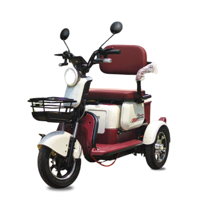 Triciclo BIG - 1000w