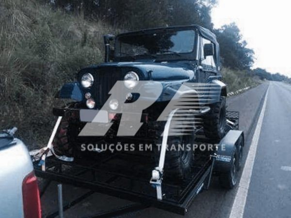 Carretinha Reboque Plataforma Basculante para Transporte de Carros com 02 Eixos – Tela